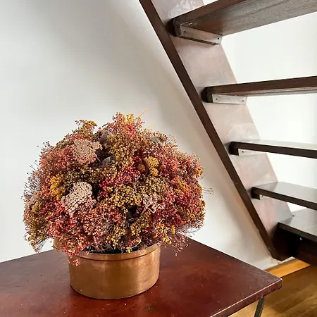 Servilia ゲストハウス 2*